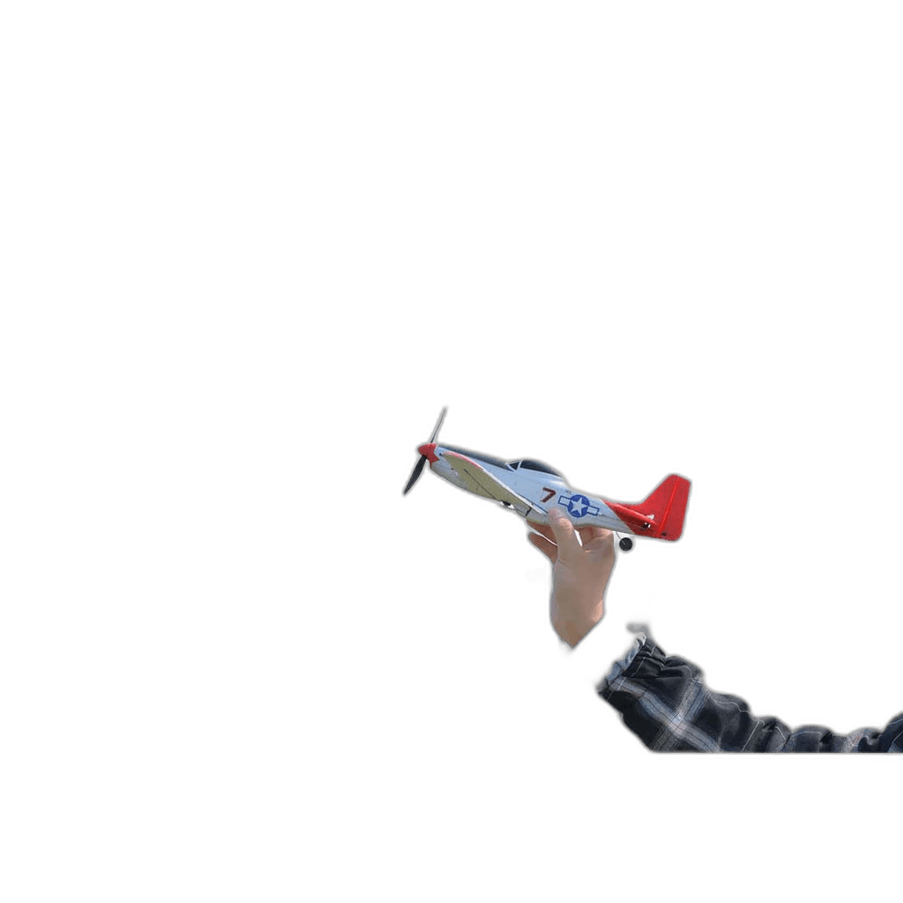 P-51D Mustang — photo 3